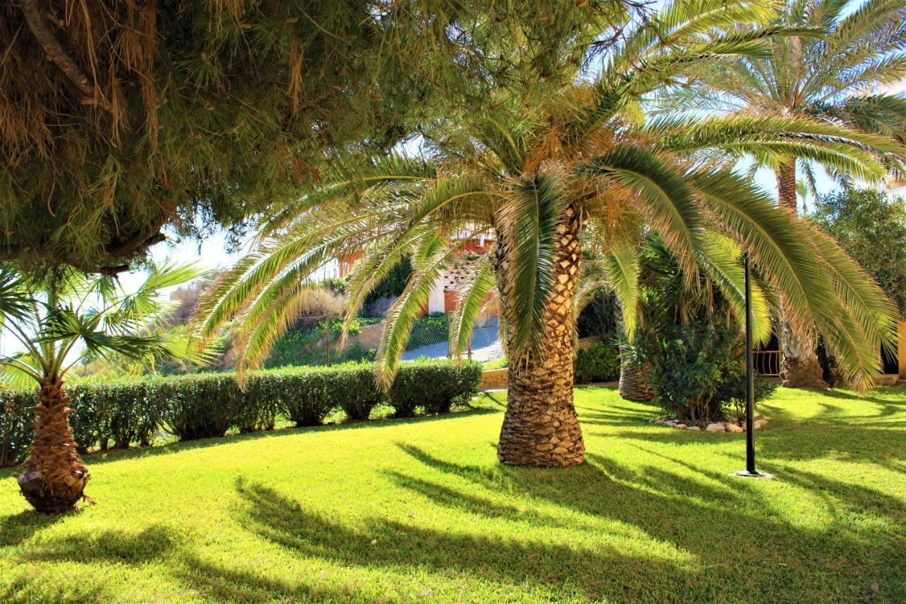 Bungalo En Primera Linea De La Playa El Campello Bagian luar foto