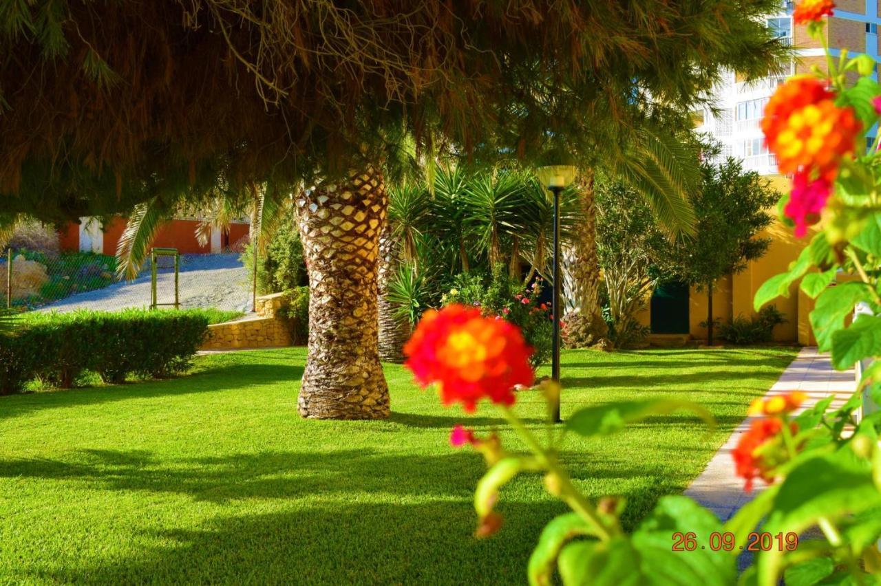 Bungalo En Primera Linea De La Playa El Campello Bagian luar foto
