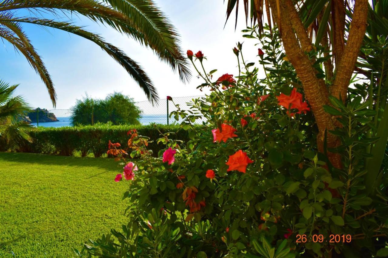 Bungalo En Primera Linea De La Playa El Campello Bagian luar foto